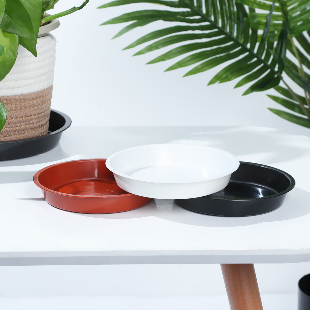 3Pcs Round Shaped Plant Trays  - đánh giá và giá Drip Tray Saucer