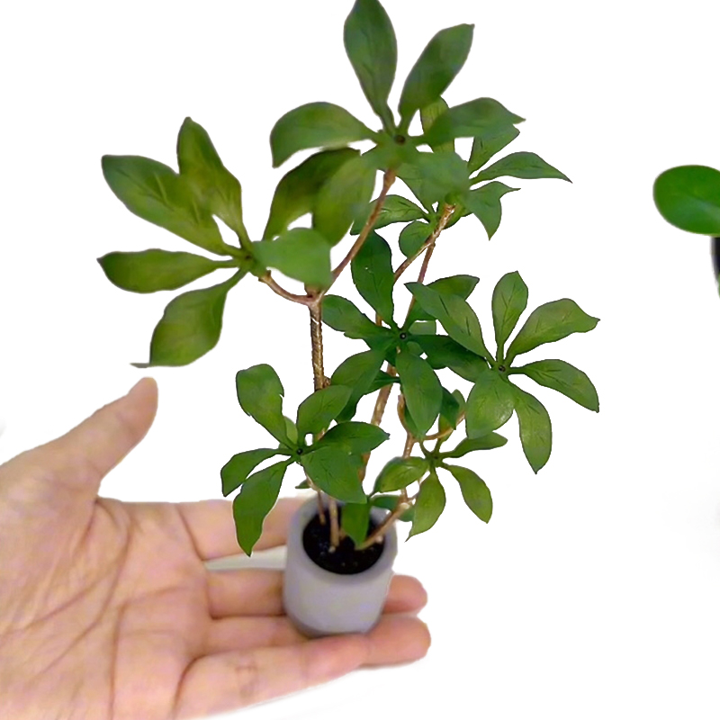 1:6 Dollhouse Miniature Potted - đánh giá và giá Bonsai Garden Plants