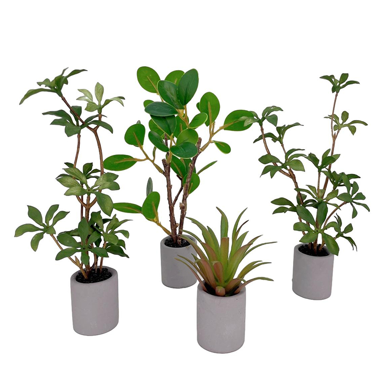 1:6 Dollhouse Miniature Potted - đánh giá và giá Bonsai Garden Plants