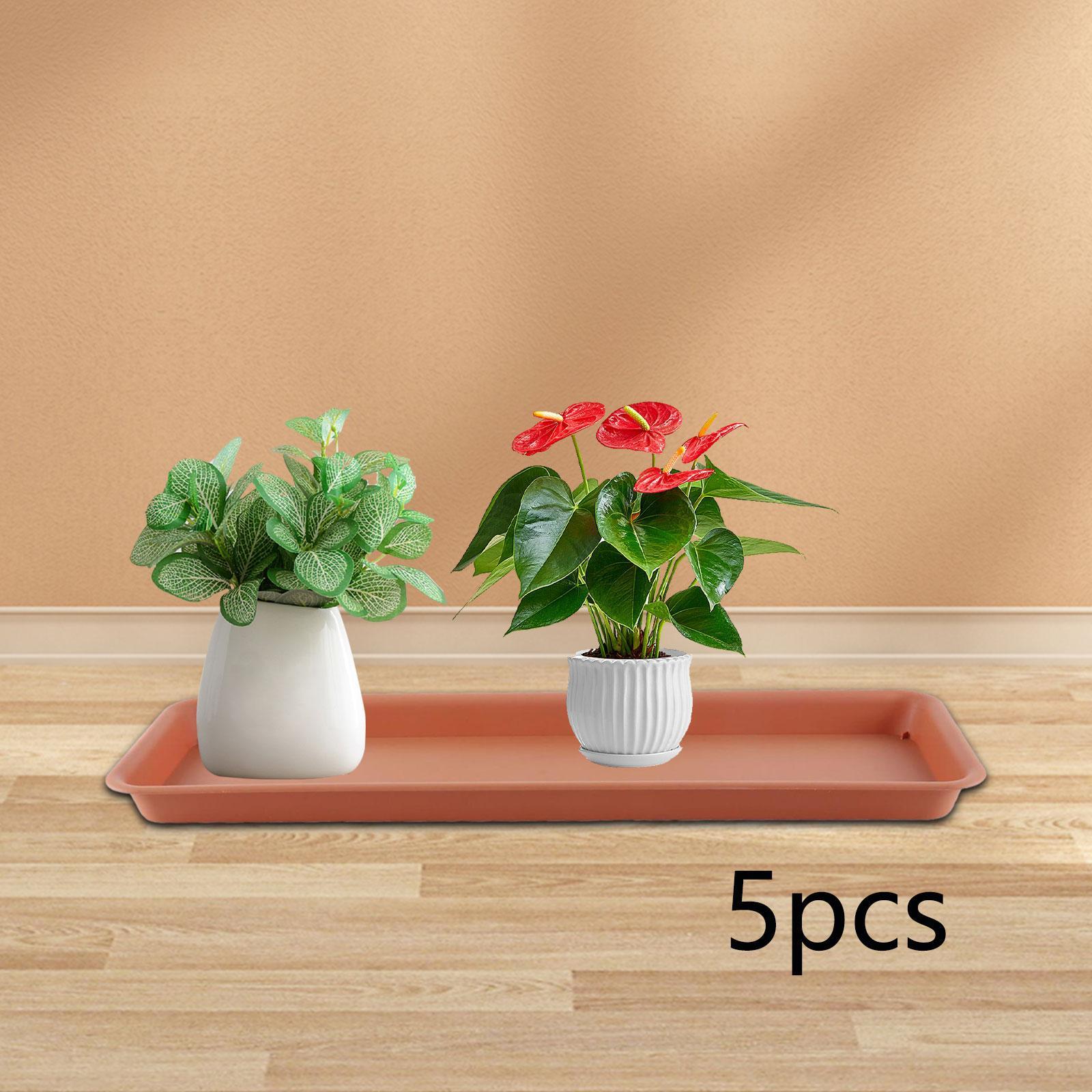 High Flower Pot for the Terrac - đánh giá và giá Drip Tray Saucer