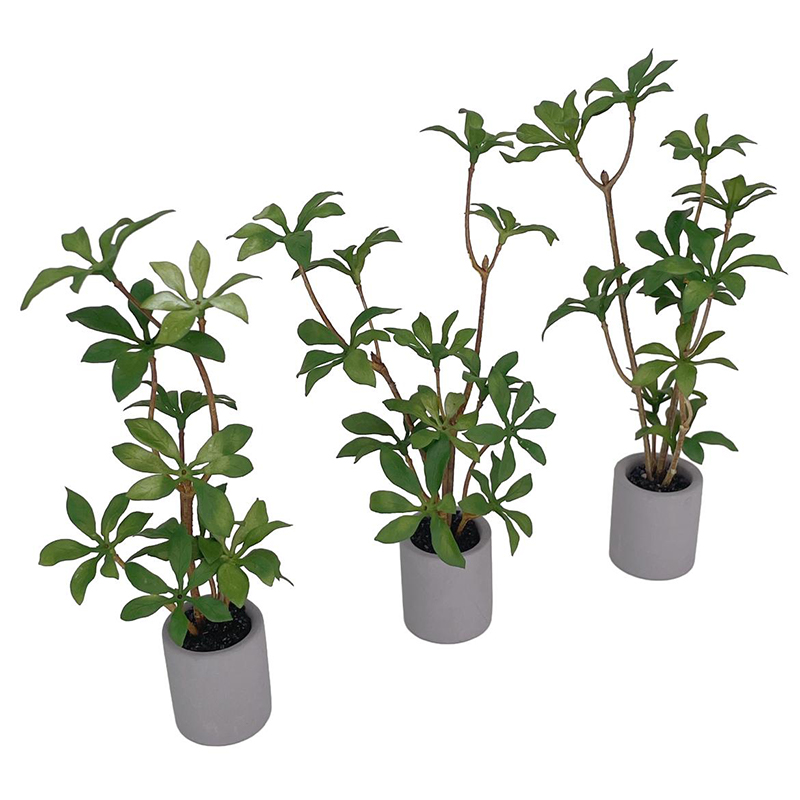 1:6 Dollhouse Miniature Potted - đánh giá và giá Bonsai Garden Plants