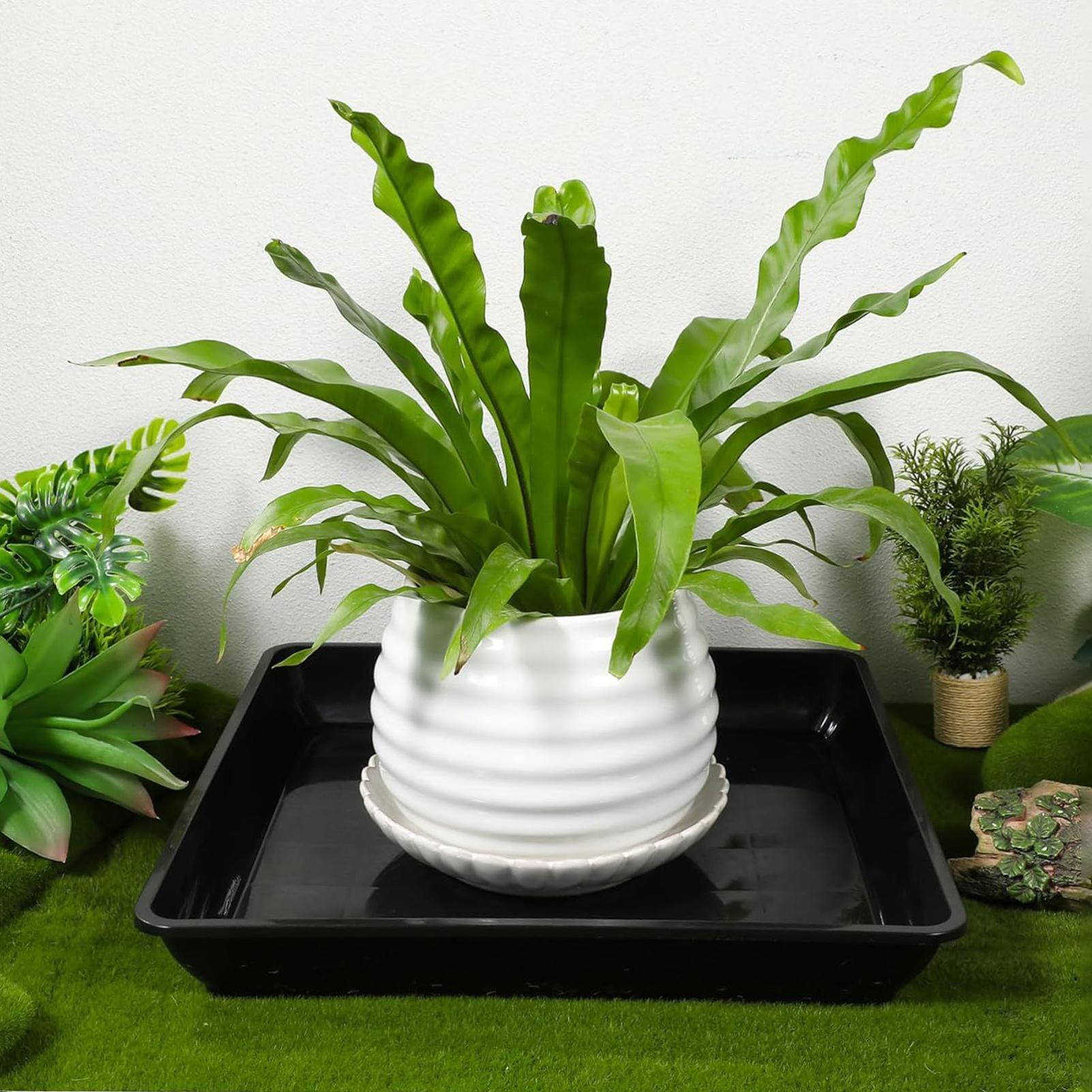 Flower Pot Trays 2Pcs/set Gard - đánh giá và giá Drip Tray Saucer