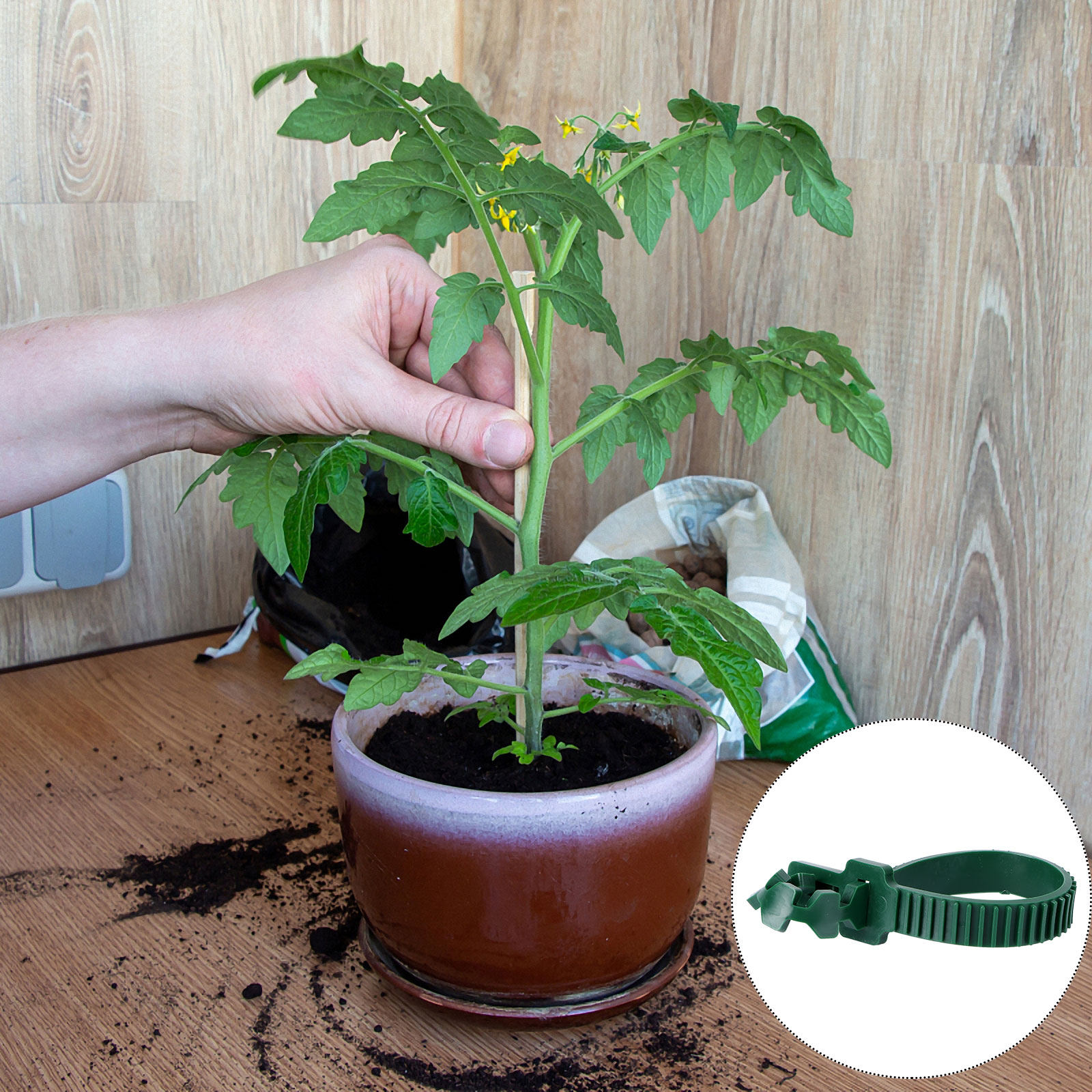 20Pcs Vine Fixing Buckle Garde - đánh giá và giá Bonsai Garden Plants