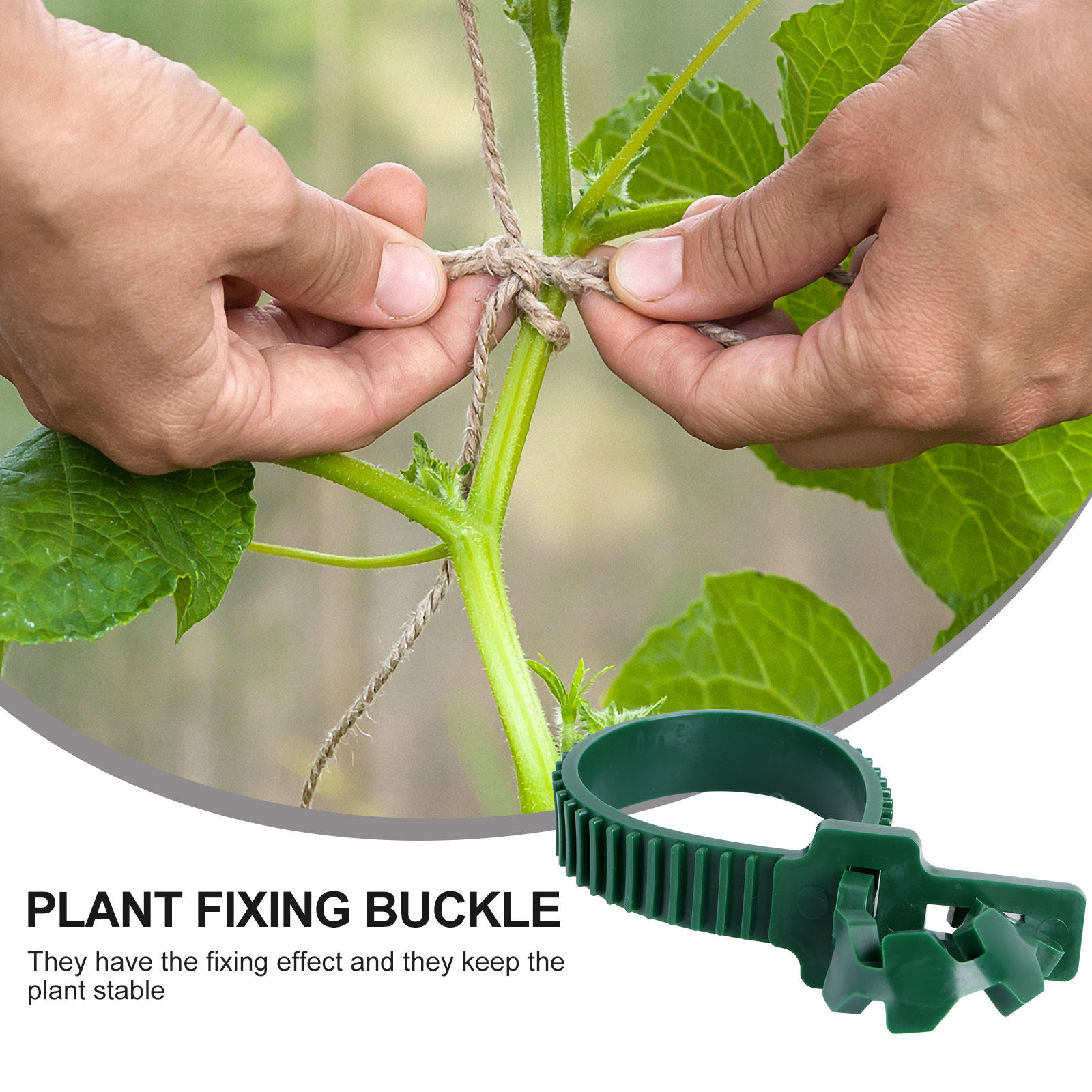 20Pcs Vine Fixing Buckle Garde - đánh giá và giá Bonsai Garden Plants