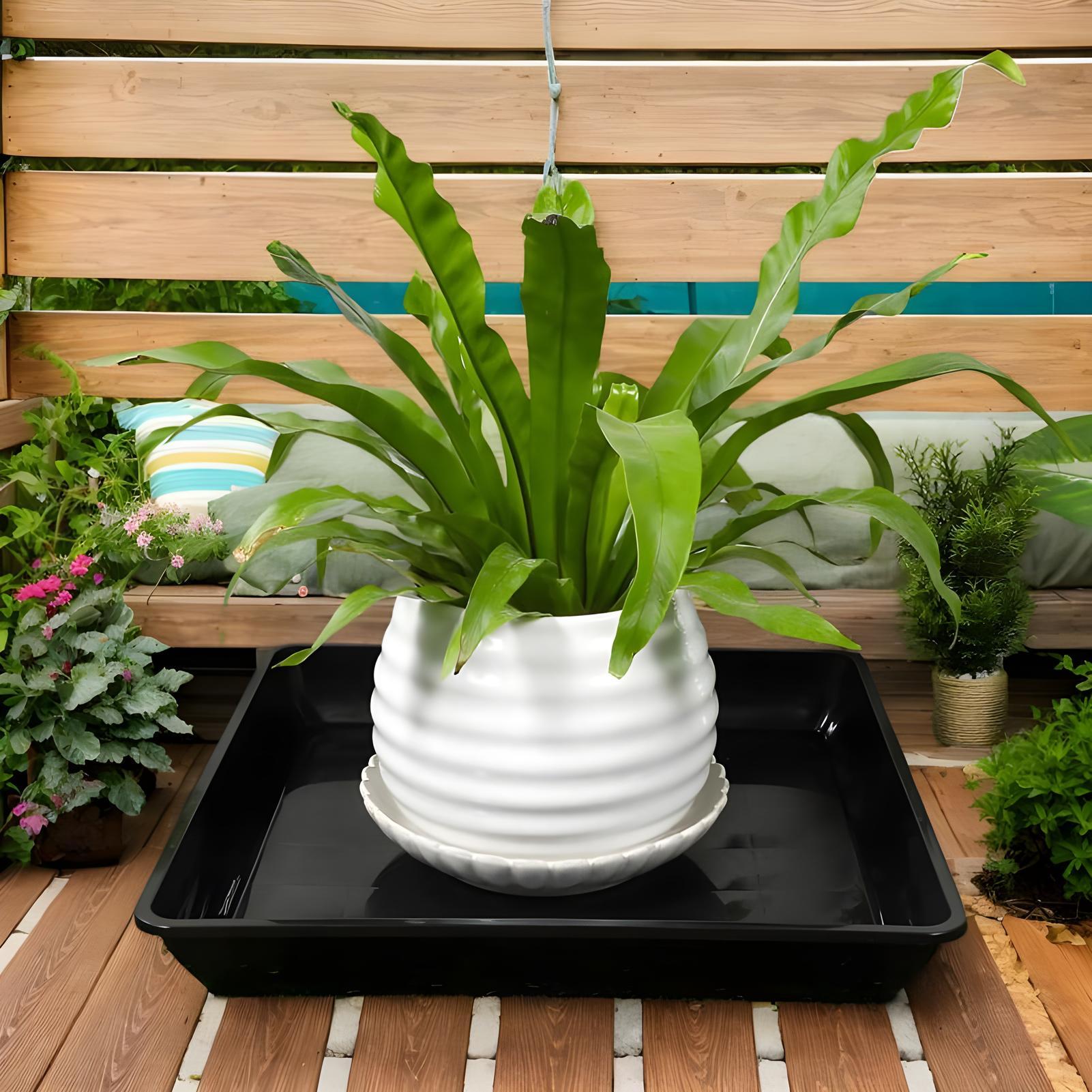 Plant Trays for Pots 2 Pieces  - đánh giá và giá Drip Tray Saucer