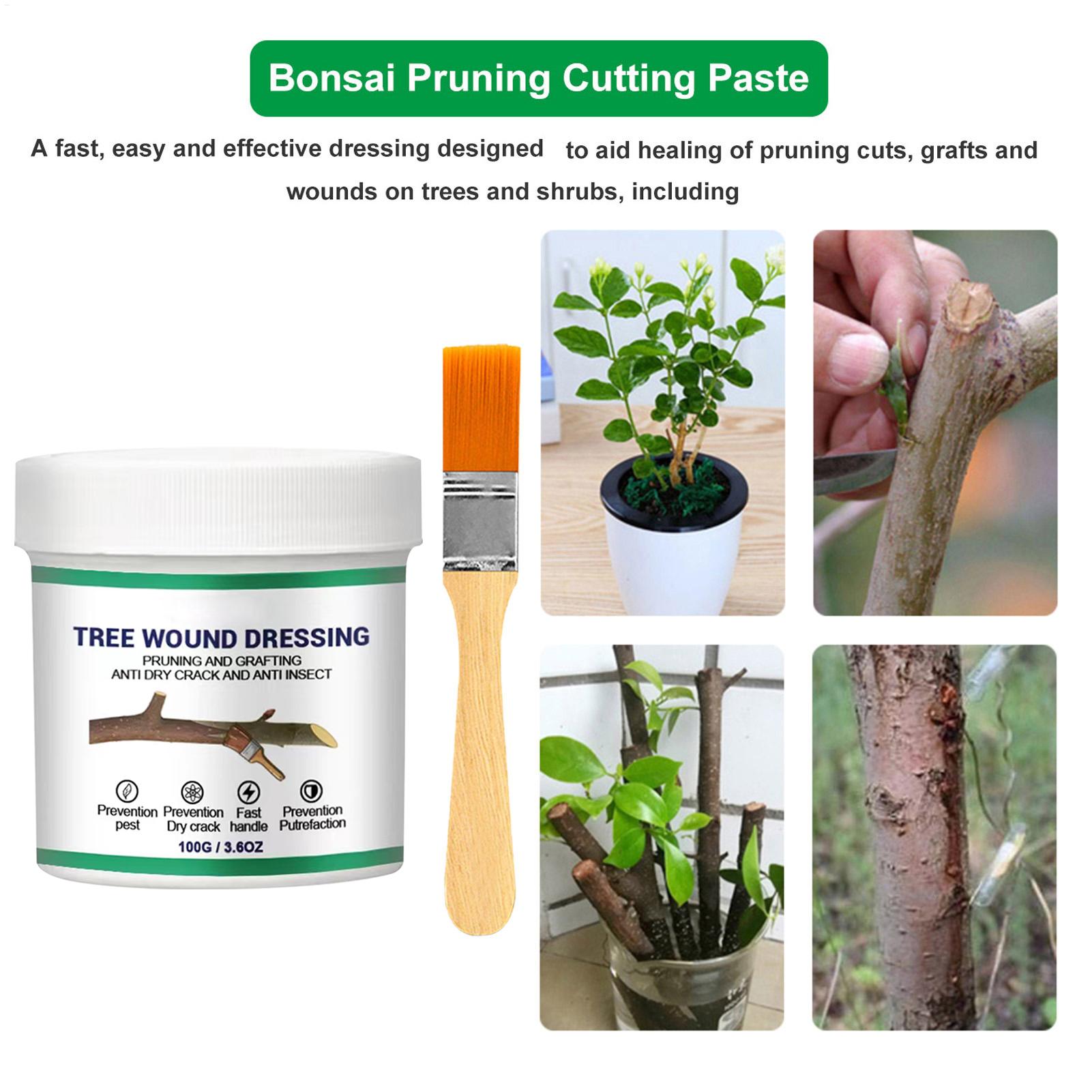 100g Tree Wound Pruning Sealer - đánh giá và giá Bonsai Garden Plants