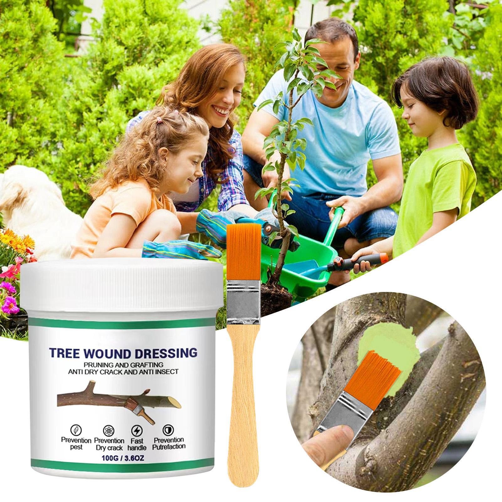 100g Tree Wound Pruning Sealer - đánh giá và giá Bonsai Garden Plants