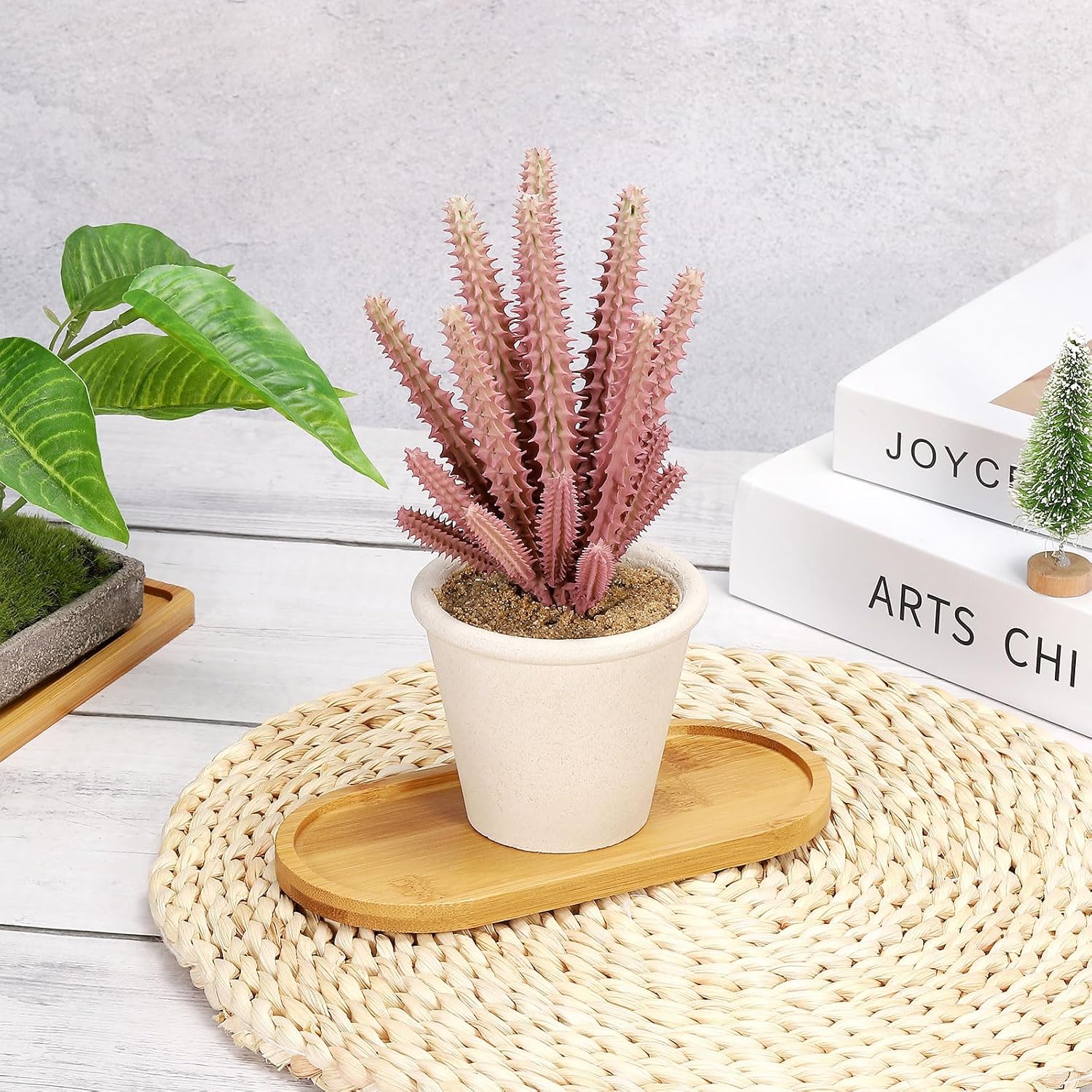 4pcs Bamboo Plant Saucer Oval  - đánh giá và giá Drip Tray Saucer